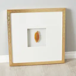 Terra Brown Agate Shadow Box With Gold Frame