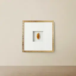 Terra Brown Agate Shadow Box With Gold Frame