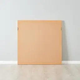 Ophir Large Shadow Box With Golden Frame