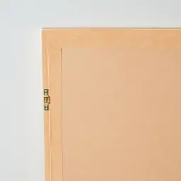 Ophir Large Shadow Box With Golden Frame