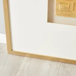 Ophir Large Shadow Box With Golden Frame