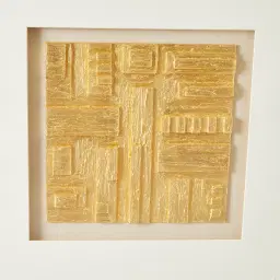 Ophir Large Shadow Box With Golden Frame