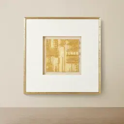 Ophir Large Shadow Box With Golden Frame