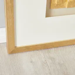 Ophir Small Shadow Box With Golden Frame
