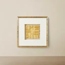 Ophir Small Shadow Box With Golden Frame