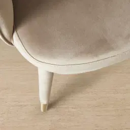 Adrianna Beige Velvet Dining Chair