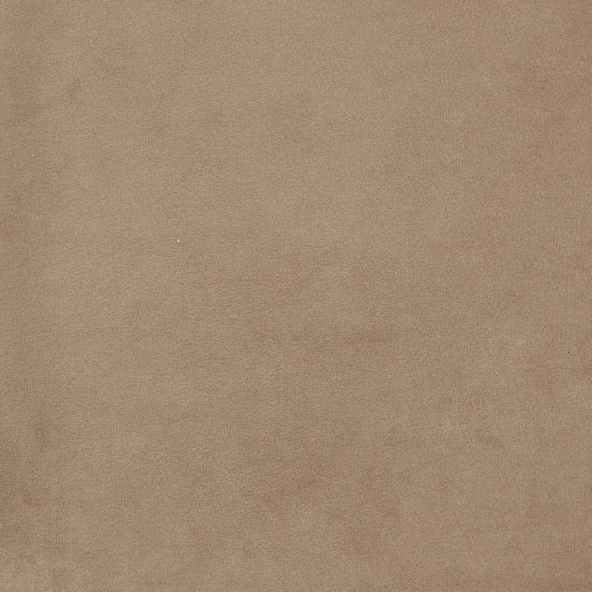 Delaney Beige Velvet Dining Chair