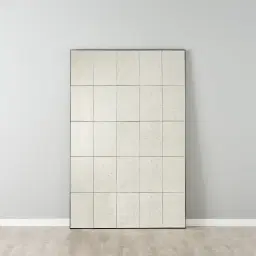 Zareen Rectangle Vintage Mirror