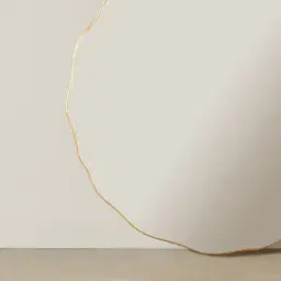 Harriet Antique Gold Round Wooden Mirror