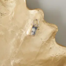 Ginkgo Resin Wall Decorative - Large