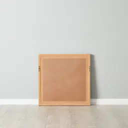 Feather Shadow Box with Golden Frame