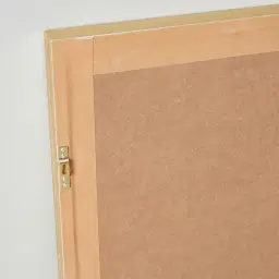 Feather Shadow Box with Golden Frame