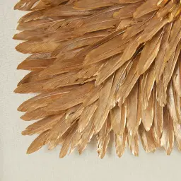 Feather Shadow Box with Light Brown Frame