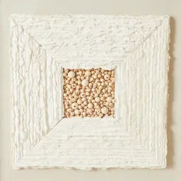 Paper Pulp And Wooden Bead Shadow Box with Golden Frame