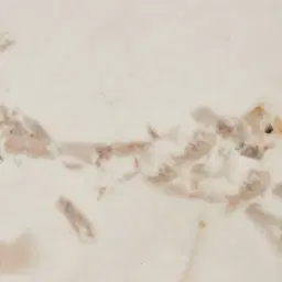 Thames Calacatta Oro - White Sintered Stone Console Table