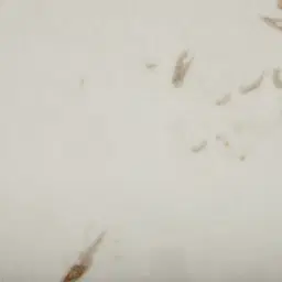 Terzetto Pandora Brown Sintered Stone Entertainment Unit - Medium Brown Wood