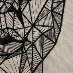 Female Geometric Figure Rectangle Shadow Box with Black PS Frame