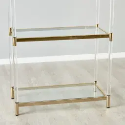Auryn Polished Champagne Gold Stainless Steel Bookshelf