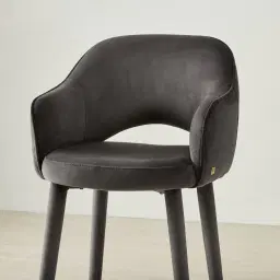 Adrianna Charcoal Velvet 67cm Counter Stool