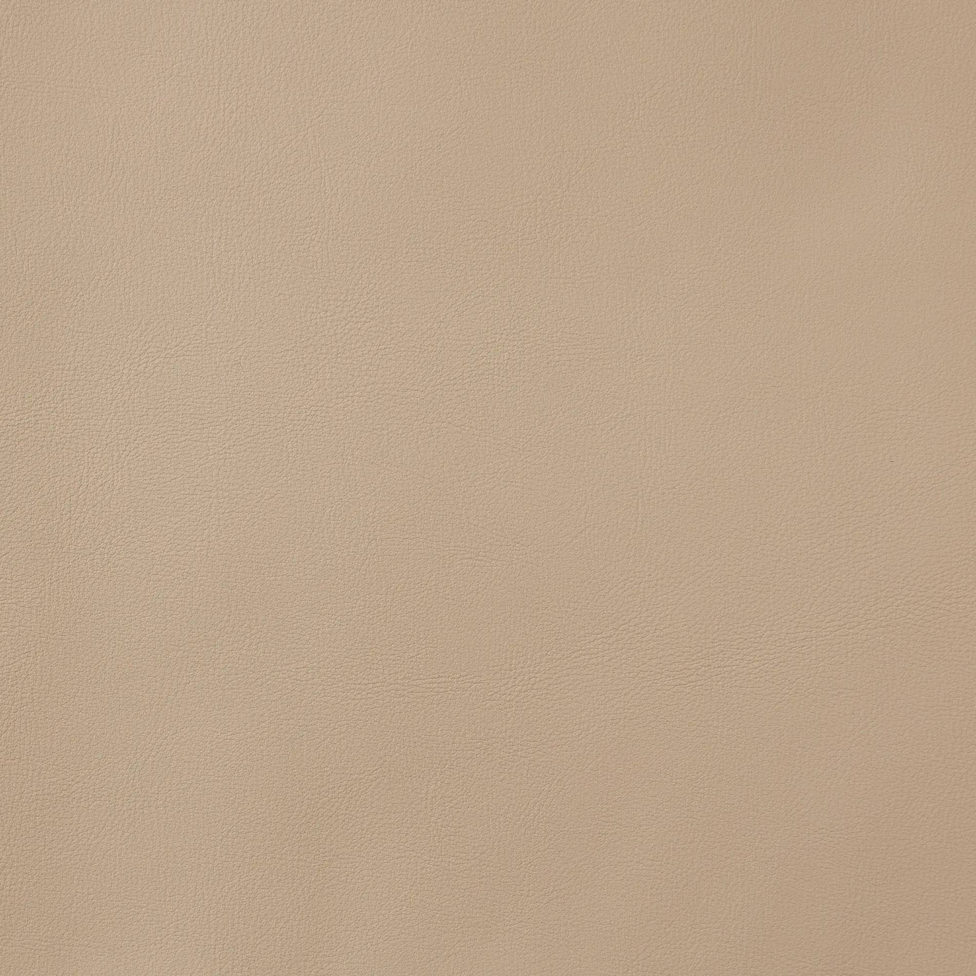 Polina Sand Beige Vegan Leather Dining Chair - Bronze Legs