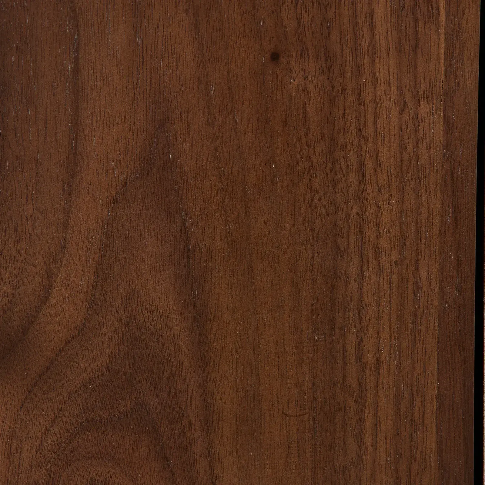 Terzetto Kids Mocha Walnut Study Desk