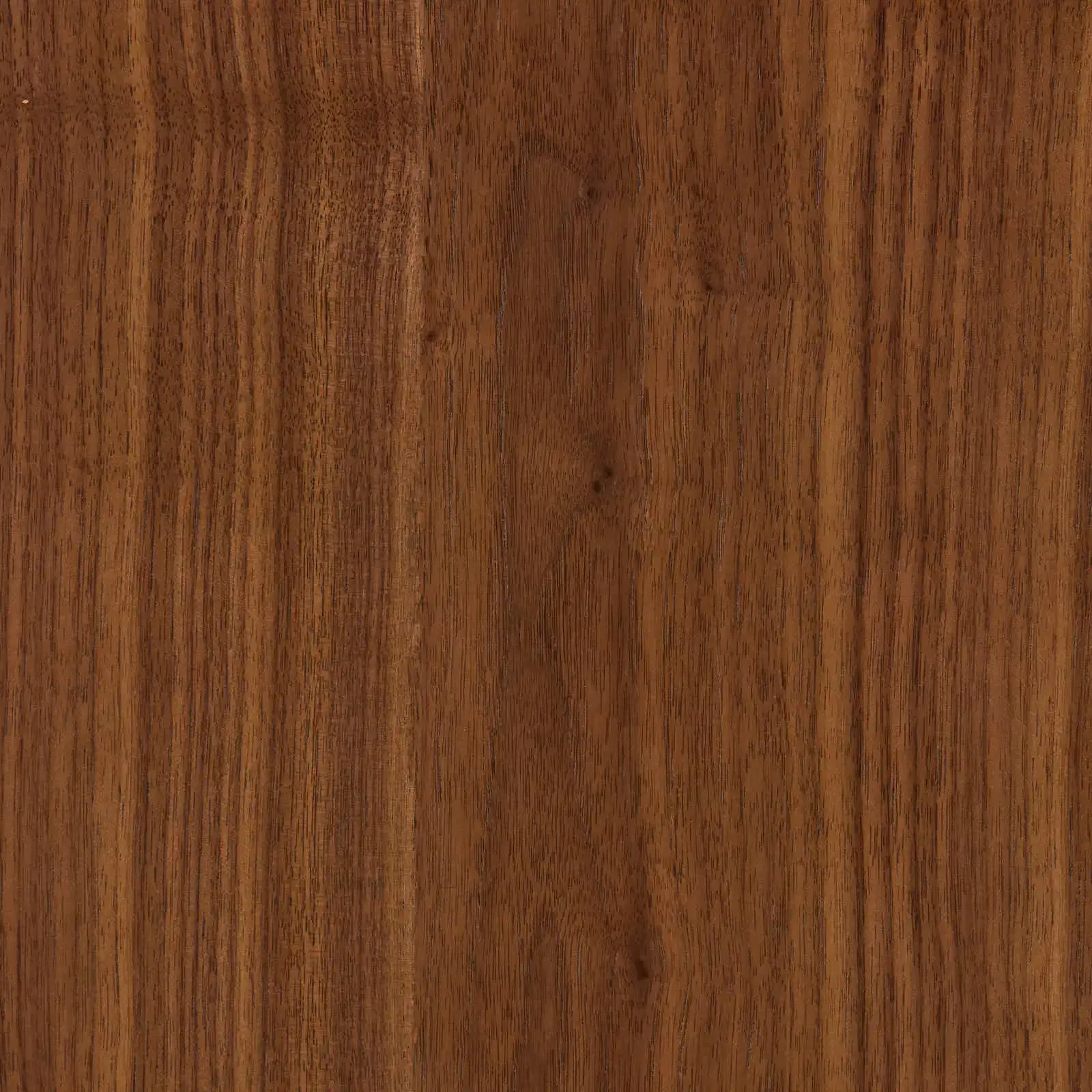 Terzetto Kids Mocha Walnut Bookshelf