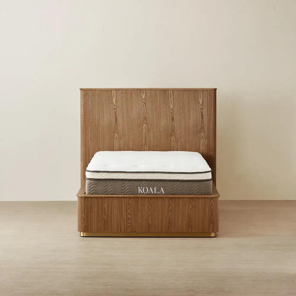 San Pierre Toffee Brown Ash King Single Bed