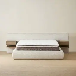 Riviera Isabelline White Fabric Queen Bed with Medium Brown Ash Veneer