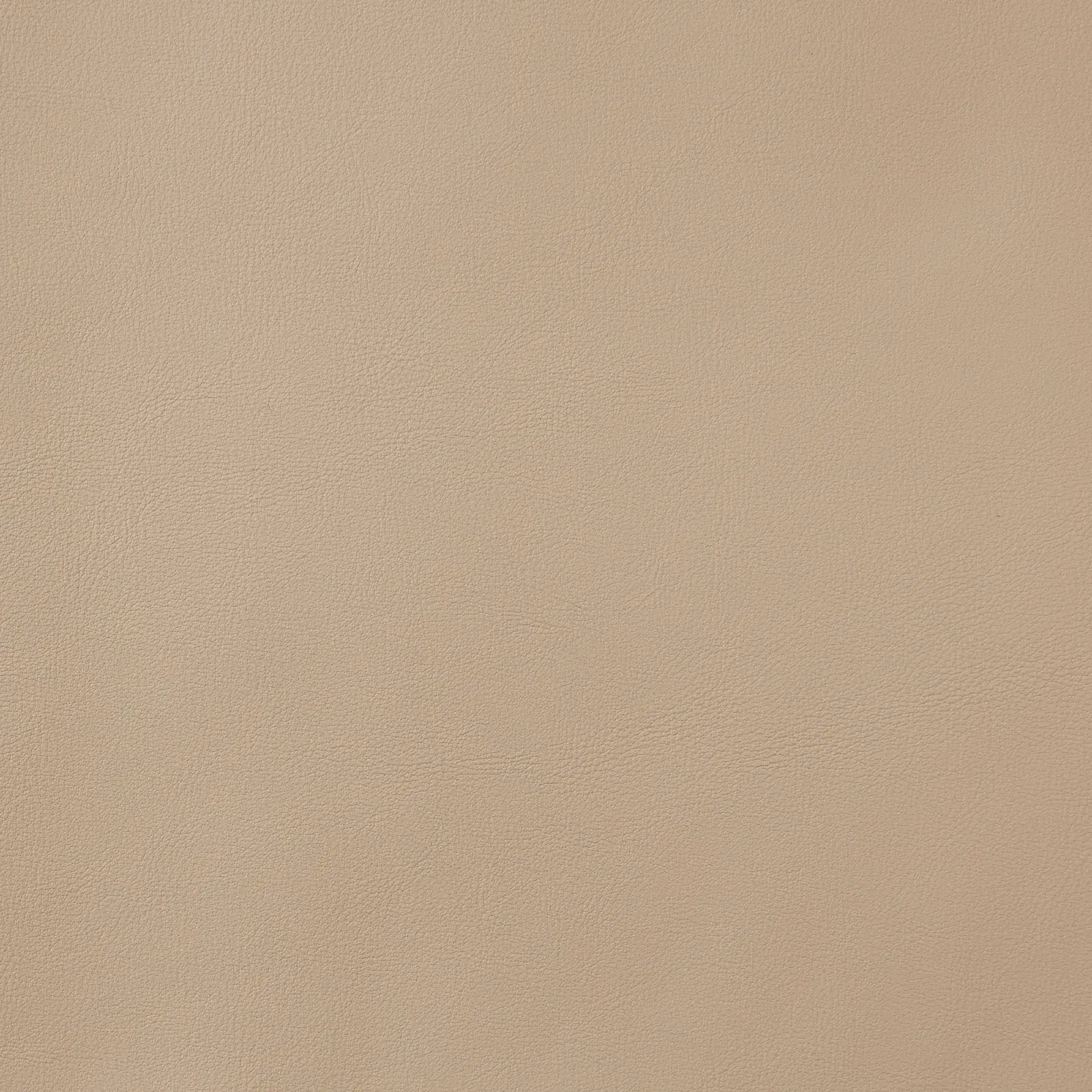 Portobello II Sand Beige Vegan Leather Dining Chair - Light Brown Ash Legs