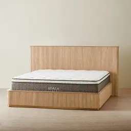 San Pierre Light Brown Ash Veneer Queen Bed