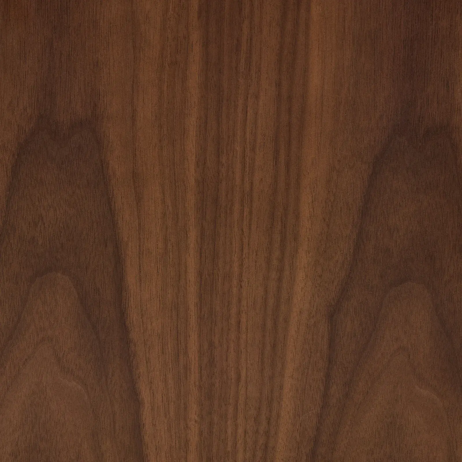 Salvador Ebony Oak Wooden Entertainment Unit