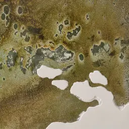 Eucalypt Reverie Painting 130x130cm