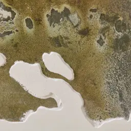 Eucalypt Reverie Painting 130x130cm