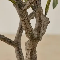 Olive Tree 150cm Decorative Plant