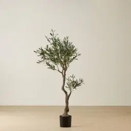 Olive Tree 150cm Decorative Plant