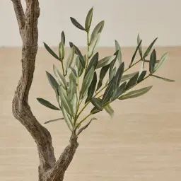 Olive Tree 150cm Decorative Plant