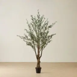 Olive Tree 250cm Decorative Plant