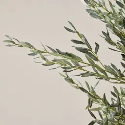 Olive Tree 250cm Decorative Plant