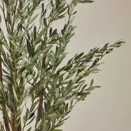 Olive Tree 300cm Decorative Plant