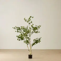 Birch Tree 180cm Decorative Plant