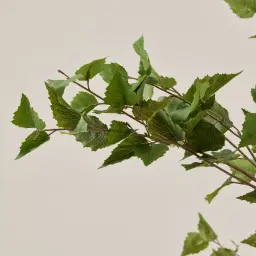 Birch Tree 210cm Decorative Plant