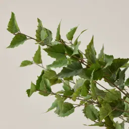 Birch Tree 240cm Decorative Plant