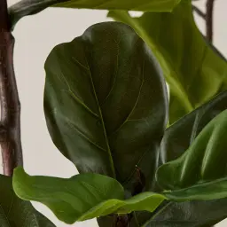 Fiddle Leaf Fig Tree 210cm Decorative Plant