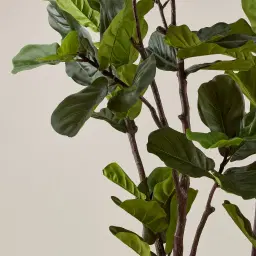 Fiddle Leaf Fig Tree 210cm Decorative Plant