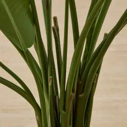 Banana Tree 210cm Decorative Plant