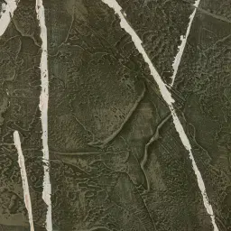 Rust on Time Painting 120x200cm