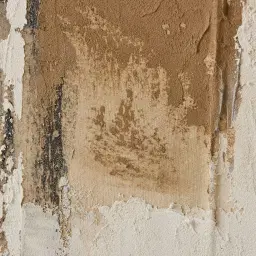 Faint Trace Painting 230x140cm