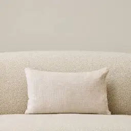 Powder White Chenille Fabric Cushion 30x50