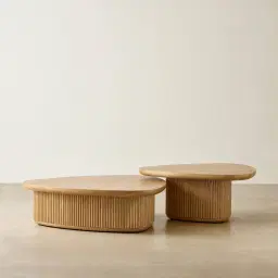 Terra Linea Light Brown Ash Veneer Low Triangular Coffee Table - 110cm