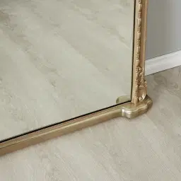 Cornelia Antique Champagne Gold Arched Mirror